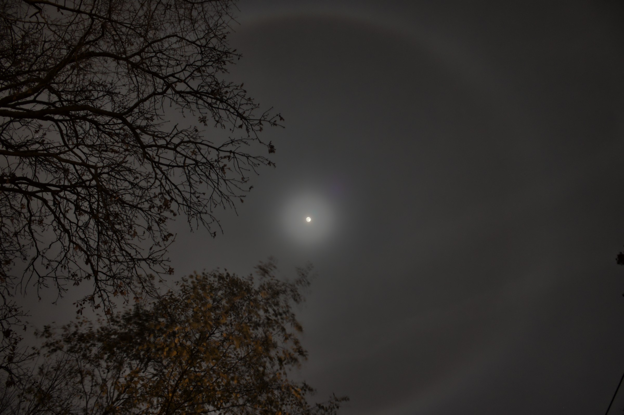 The Full Beaver Moon and Halo, 2020 November 29