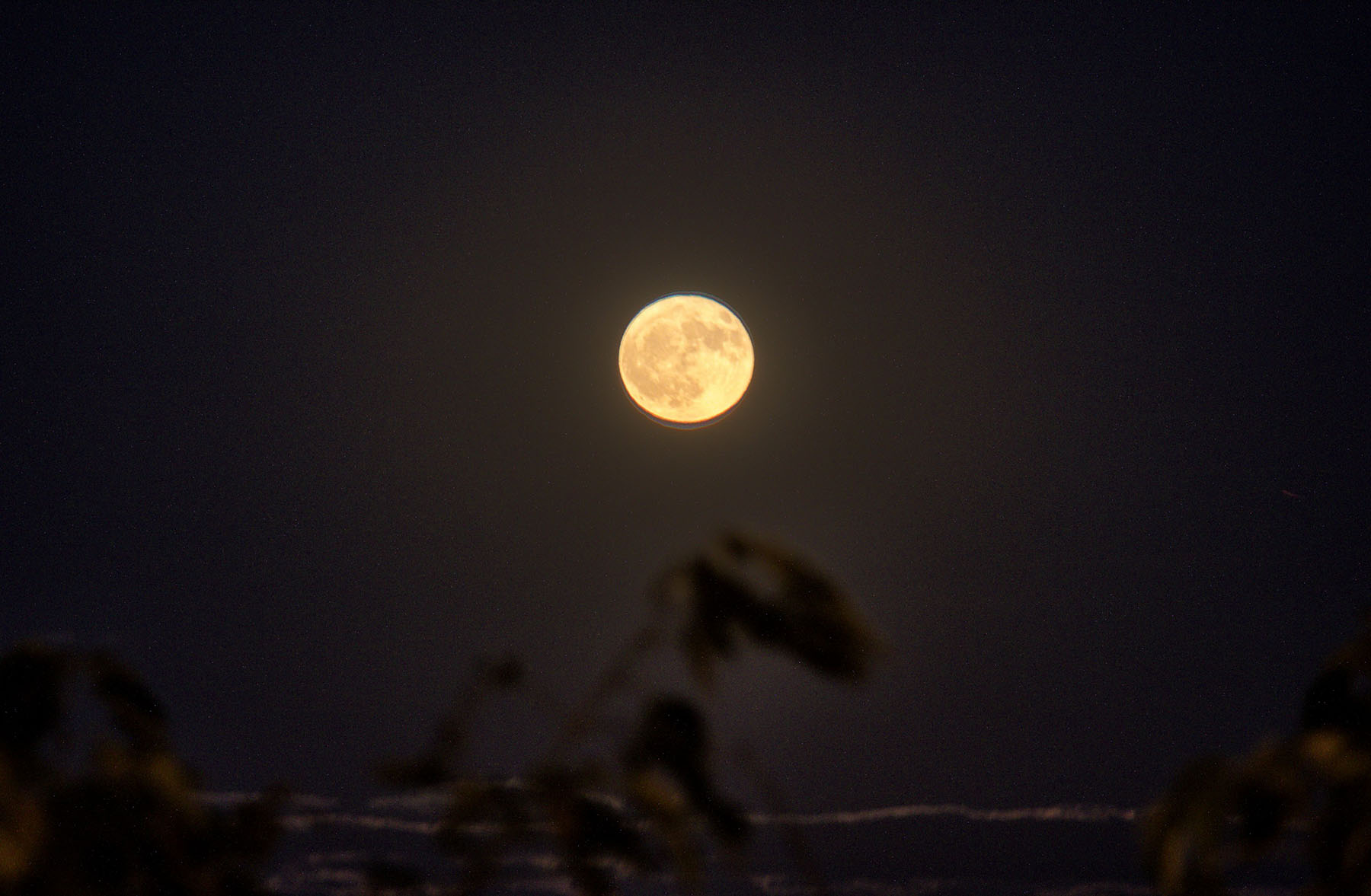 Hunter's Moon rising over the USNO, 2018 October 24